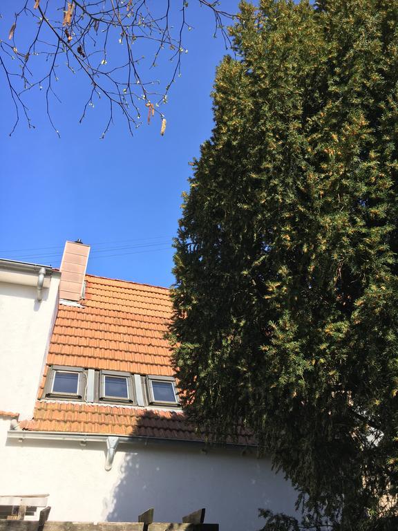 Pension Haus Baron 2 Friedrichsfeld Edingen-Neckarhausen Exterior foto